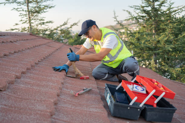 Best Flat Roof Repair Services  in Chevy Chase, MD