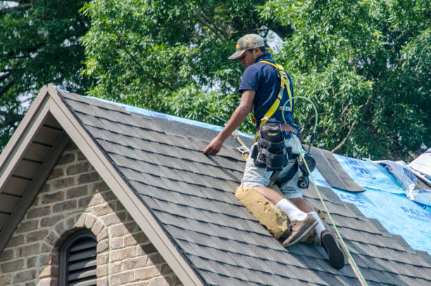 Best Roof Waterproofing Services  in Chevy Chase, MD